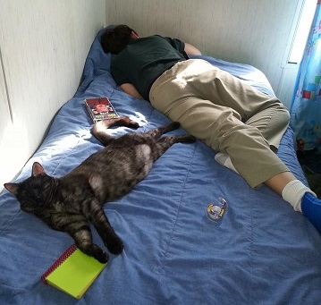 Illustration for article titled Another day at home...